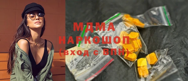 индика Кинешма