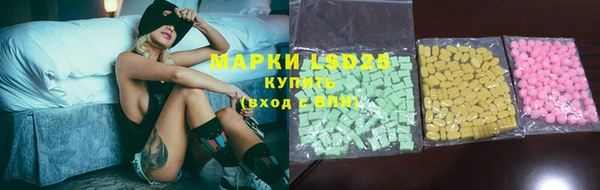 стаф Коряжма