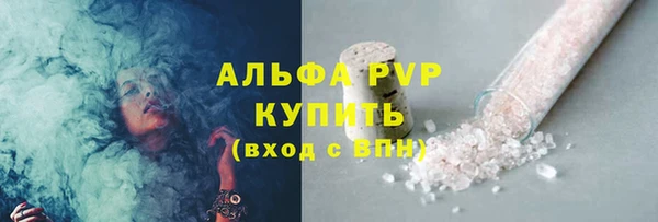 стаф Коряжма
