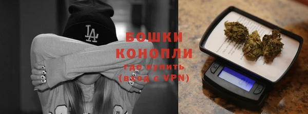 стаф Коряжма