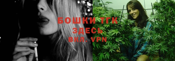 стаф Коряжма