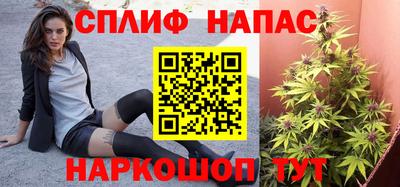 гашик Донецк