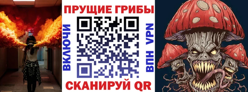 Псилоцибиновые грибы Psilocybe  Сокол 