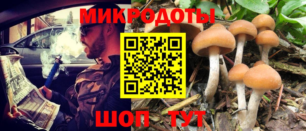 Сокол  Галлюциногенные грибы прущие грибы  Вход с VPN  магазин продажи наркотиков  Галлюциногенные грибы ЛСД 
